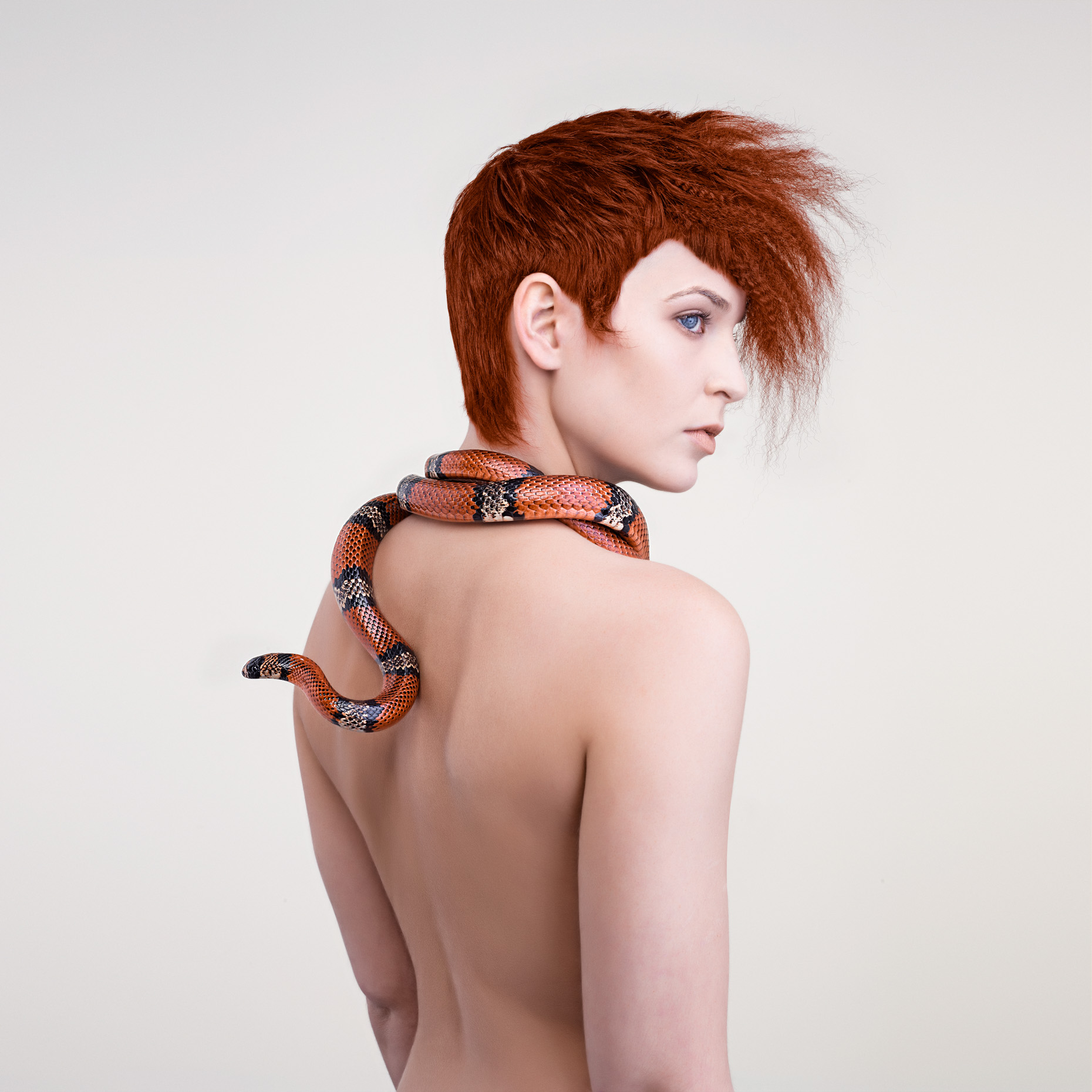 5169_Snake_ 6510_03_RGB