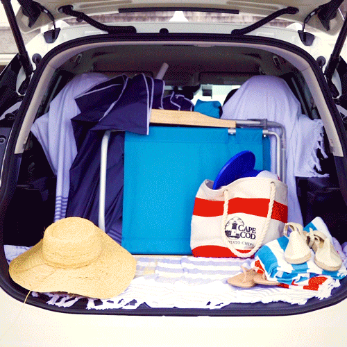 Cape_Cod-May-Trunk-1x1-02